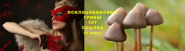 метадон Абаза