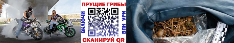 Галлюциногенные грибы мухоморы Чехов